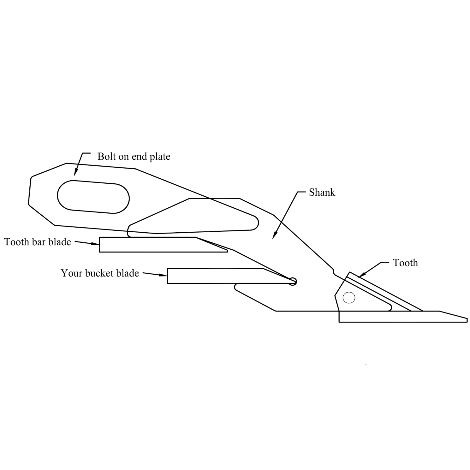 WR Long Inc: Tooth Bar - Lane Shark USA