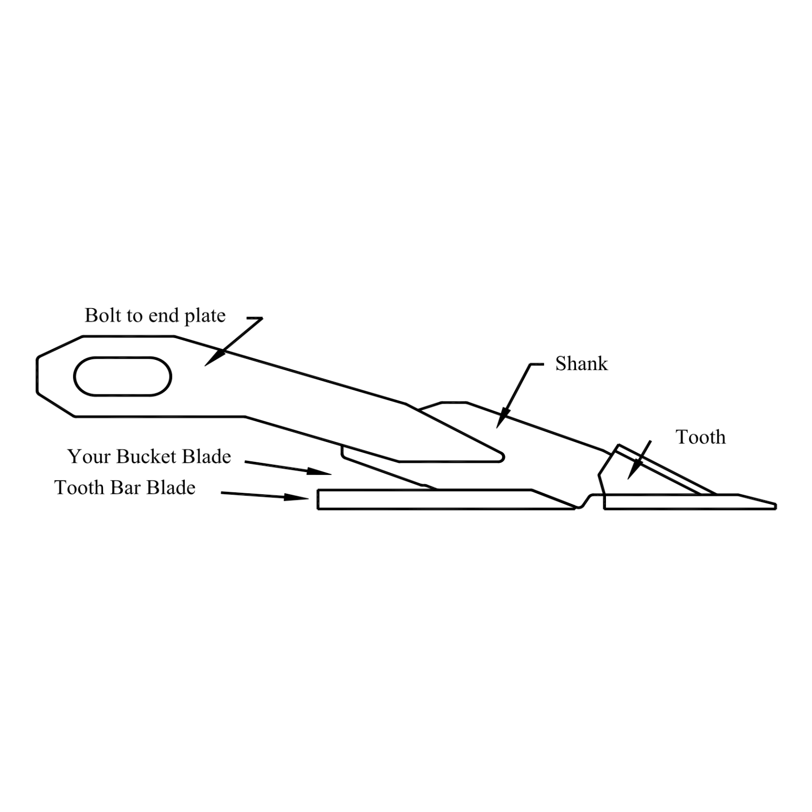 WR Long Inc: Tooth Bar - Lane Shark USA